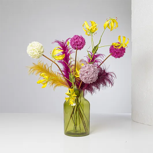 Background Removal services (Before webp