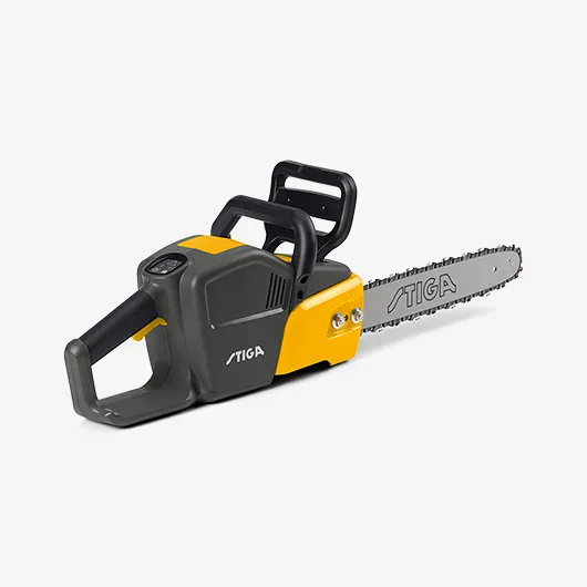 Photo Background Removal services (After)