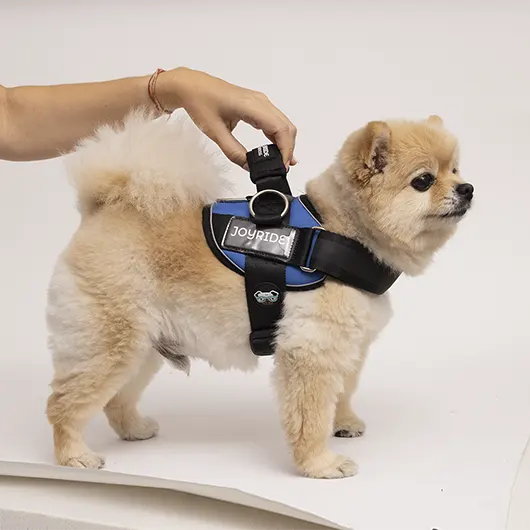 photo masking services (Before) (1)