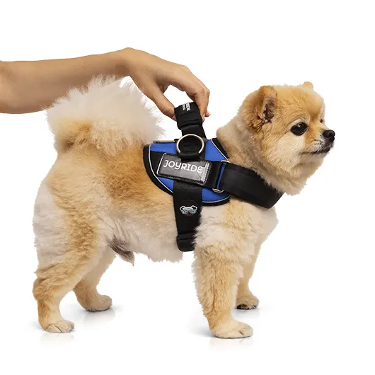 photo masking services (after)