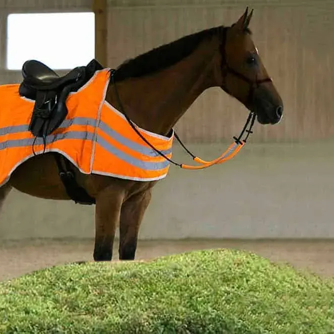 image-manipulation-service Before